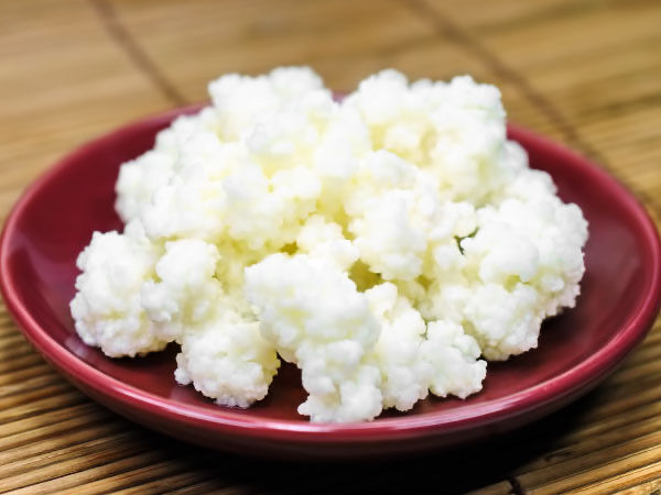 Молочный гриб